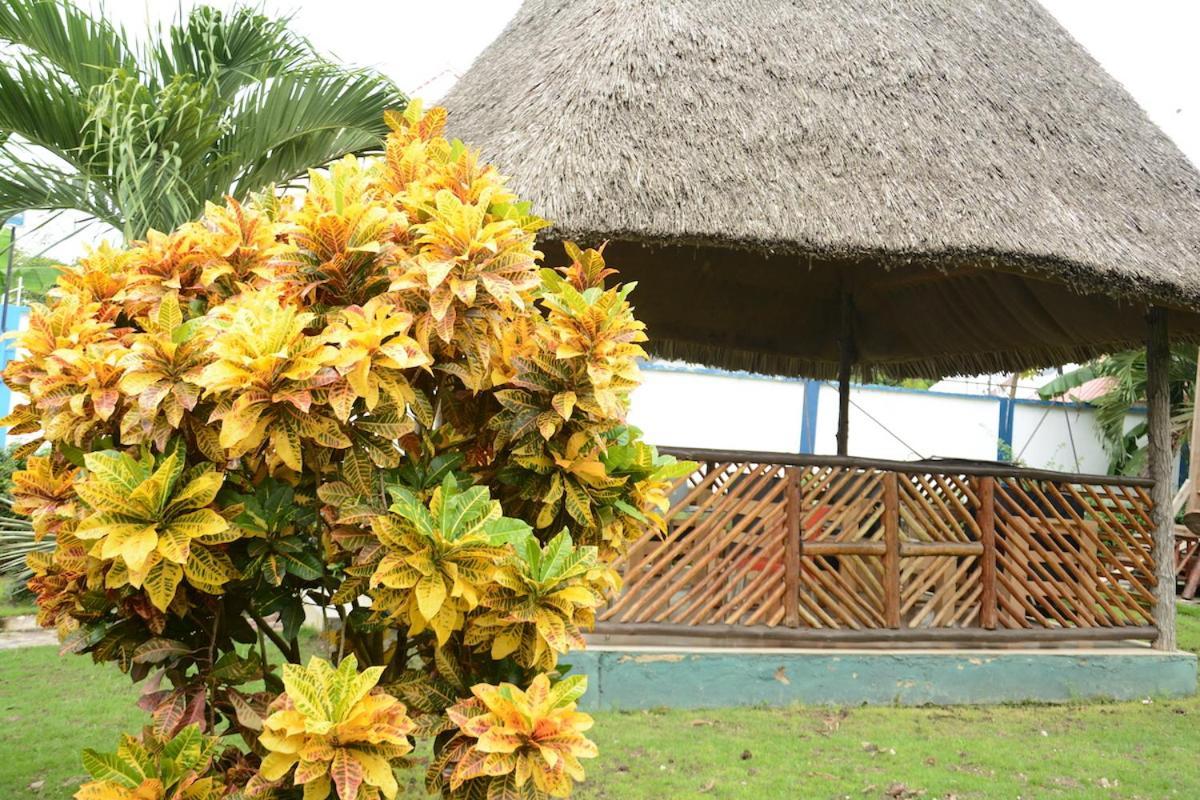 Kimere Resort Bagamoyo Kültér fotó
